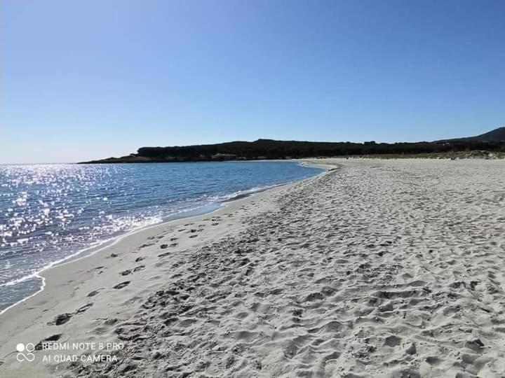 부도니 Sa Tanca De Su Mare B&B 외부 사진