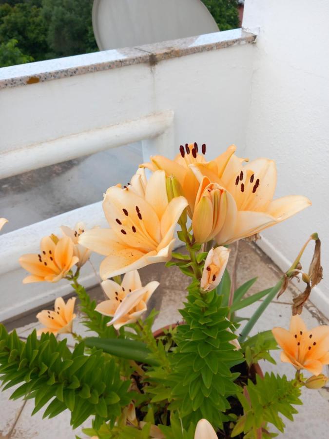 부도니 Sa Tanca De Su Mare B&B 외부 사진